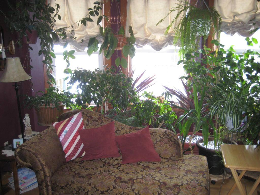 Phoenix House B&B Stettler Bagian luar foto
