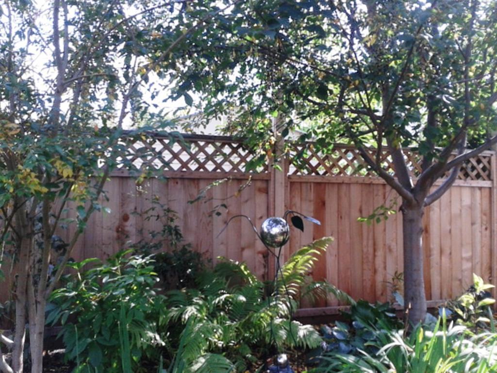 Phoenix House B&B Stettler Bagian luar foto